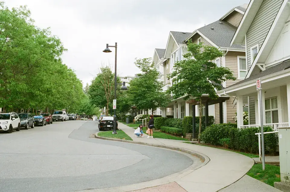 mold removal Portland